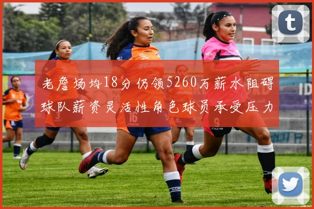 老詹场均18分仍领5260万薪水阻碍球队薪资灵活性角色球员承受压力